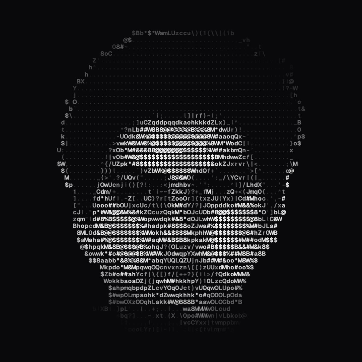 Agasthya Joshi, ASCII portrait